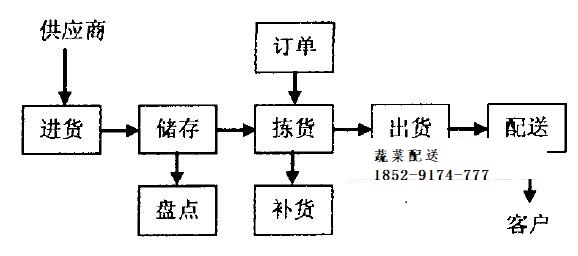 广州蔬菜配送公司必须提高配送效率 优化物流流程