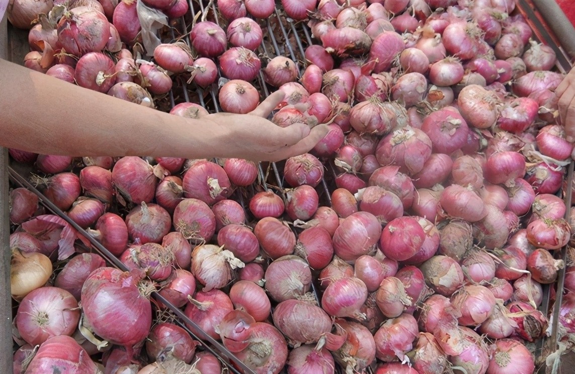 广州农副产品配送：洋葱被炒作成水果，你愿意花高价买吗？