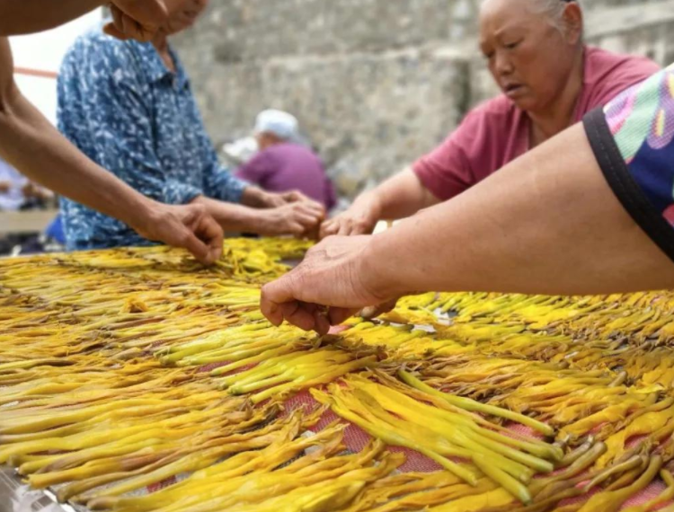 广州净菜配送公司：4种不怕过期的蔬菜，价格实惠，储存时间长