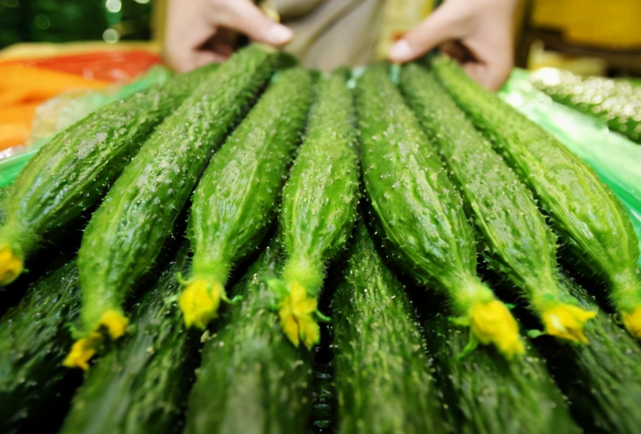蔬菜配送公司在采购黄瓜时，要学会掌握三点辨别方法！